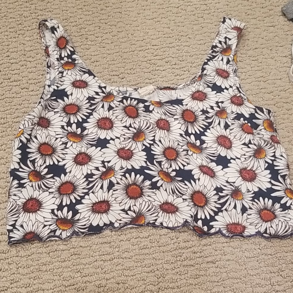 🎁 Daisy Crop Top